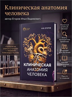Клиническая анатомия человека 10013